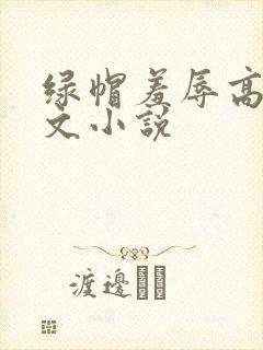 绿帽羞辱高辣h文小说
