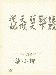 逆天萌兽绝世妖妃倾天下殷念