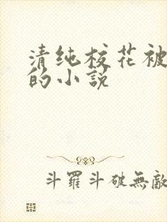 清纯校花被调教的小说