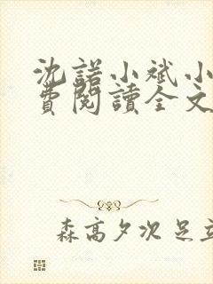 沈诺小斌小说免费阅读全文最新章节封面