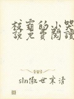 校霸的小哭包小说免费阅读