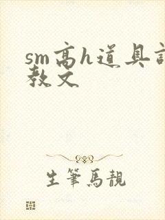 sm高h道具调教文封面