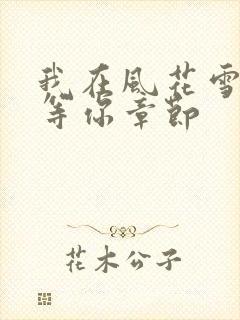 我在风花雪月里等你章节