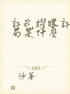 许我耀眼许妍结局是什么封面