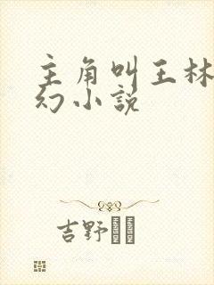 主角叫王林的玄幻小说封面
