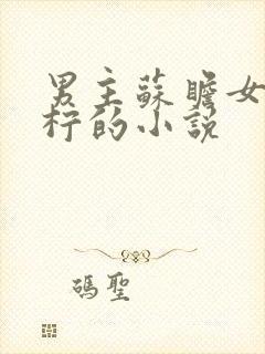 男主苏瞻女主薛柠的小说