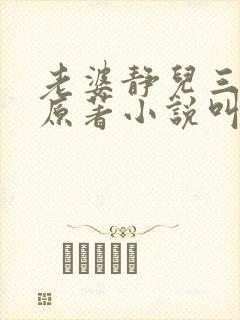 老婆静儿三部曲原著小说叫什么