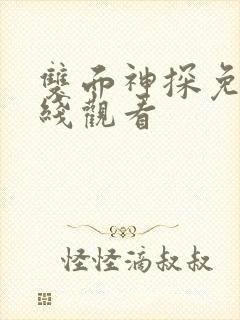 双面神探免费在线观看封面