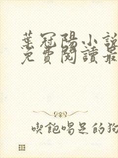 叶冠阳小说全文免费阅读最新章节封面