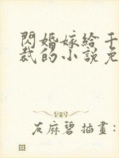 闪婚嫁给千亿总裁的小说免费海彤