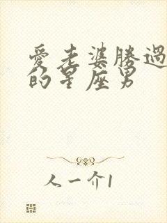 爱老婆胜过一切的星座男