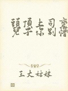 头顶上司变后妈儿子你别懵