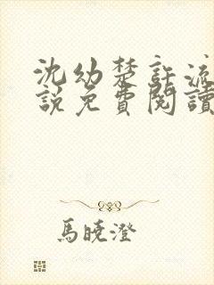 沈幼楚许流年小说免费阅读最新章节