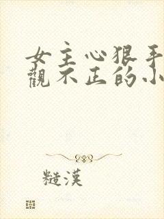 女主心狠手辣三观不正的小说