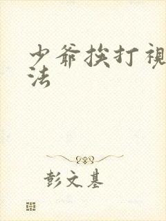 少爷挨打视频家法