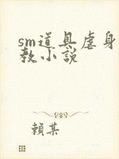 sm道具虐身调教小说