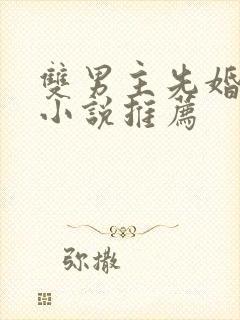 双男主先婚后爱小说推荐