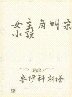 女主角叫宋黎的小说