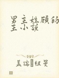 男主姓顾的双男主小说