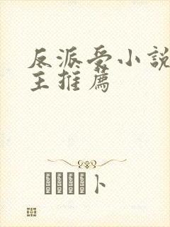 反派受小说双男主推荐