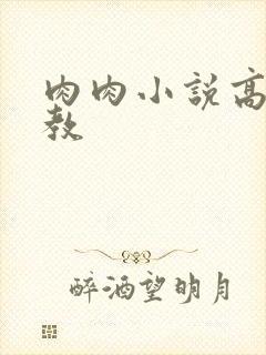 肉肉小说高h调教