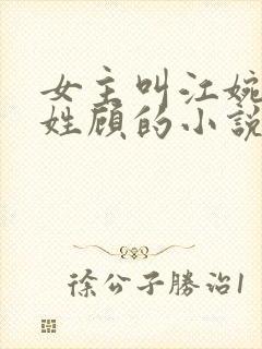 女主叫江婉男主姓顾的小说
