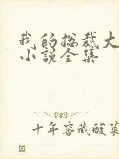 我的总裁大老婆小说全集