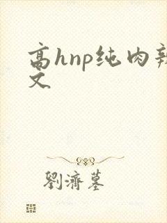 高hnp纯肉辣文封面