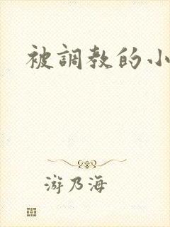 被调教的小母狗