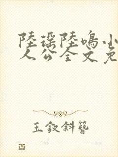 陆瑶陆鸣小说主人公全文免费阅读笔趣阁封面