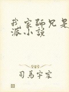 我家师兄是大反派小说