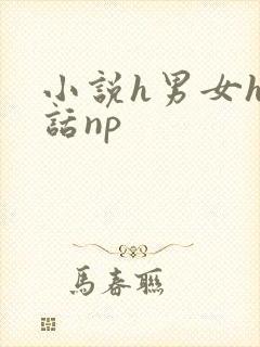 小说h男女h骚话np封面