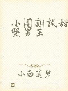 小圈训诫甜宠文双男主