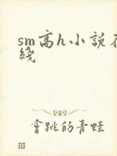 sm高h小说在线