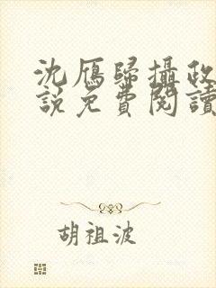 沈雁归摄政王小说免费阅读