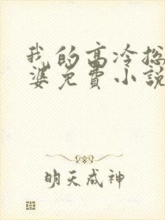 我的高冷总裁老婆免费小说封面