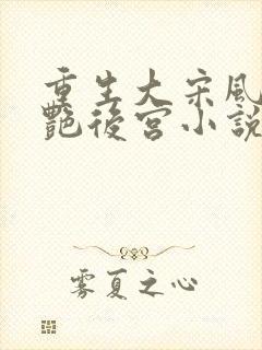 重生大宋风流猎艳后宫小说封面