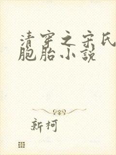 清穿之宋氏生三胞胎小说