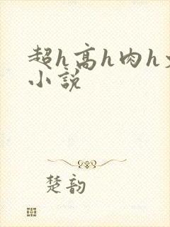 超h高h肉h文小说封面