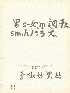 男s女m调教(sm,h)污文