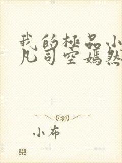 我的极品小姨叶凡司空嫣然封面