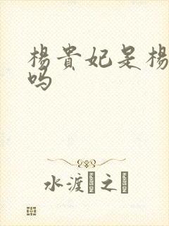 杨贵妃是杨玉环吗