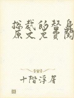 总裁的替身前妻原文免费阅读