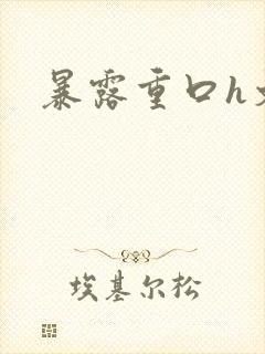 暴露重口h文封面