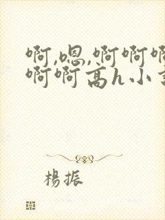 啊,嗯,啊啊啊啊啊高h小说