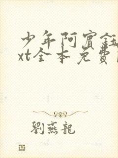 少年阿宾钰慧txt全本免费阅读