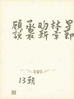 顾承昀林星禾小说最新章节免费阅读