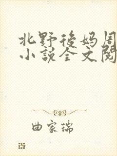 北野后妈周继烨小说全文阅读封面