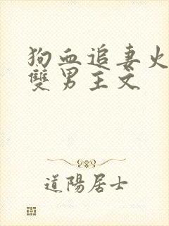 狗血追妻火葬场双男主文