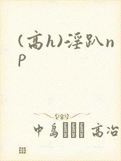(高h)淫趴np